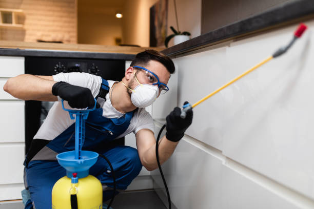 Best Residential Pest Control  in Vail, CO