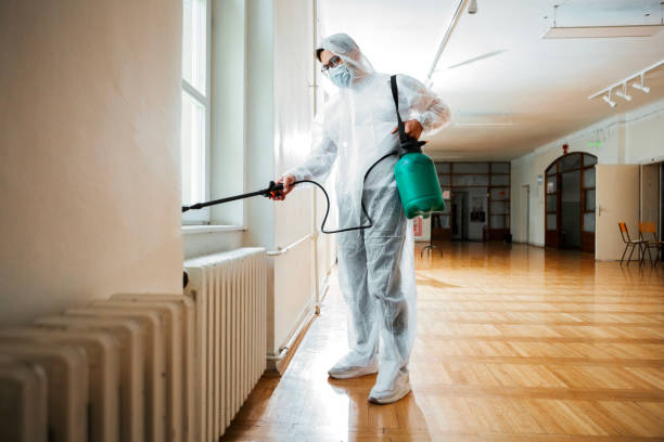 Flea Control Services in Vail, CO