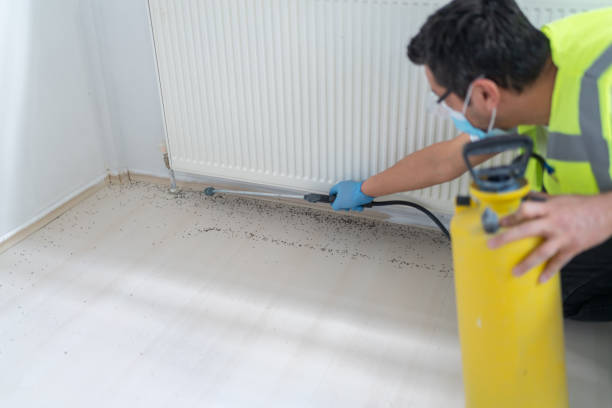 Best Bed Bug Extermination  in Vail, CO